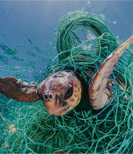 1687492685278181.jpg 未標(biāo)題-5.jpg